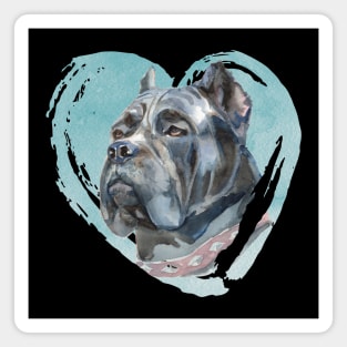 Cane Corso Portrait Magnet